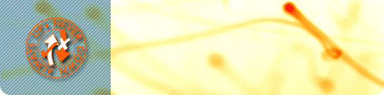 always up never down